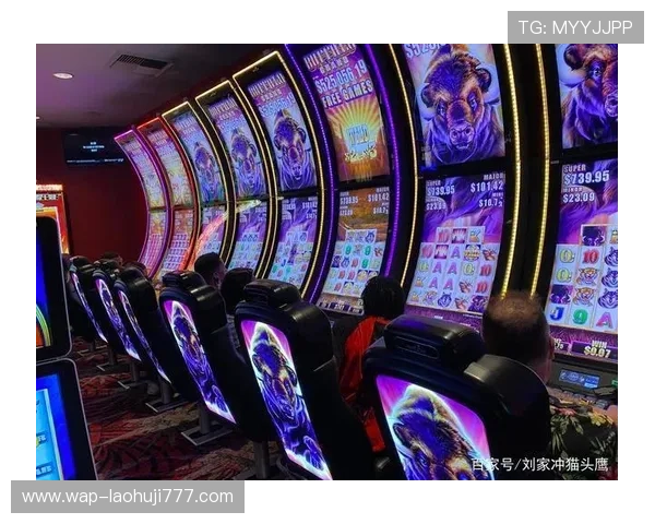 老虎机专卖店：提供多样化的高品质老虎机设备选择方案